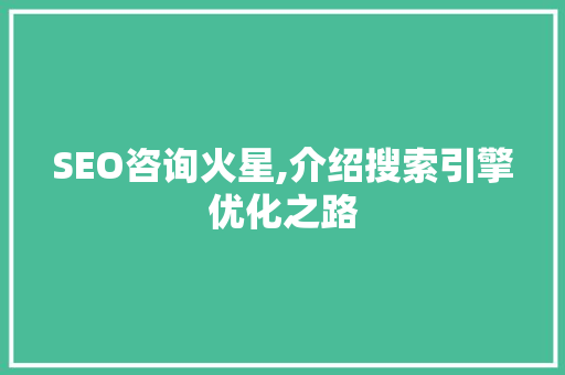 SEO咨询火星,介绍搜索引擎优化之路