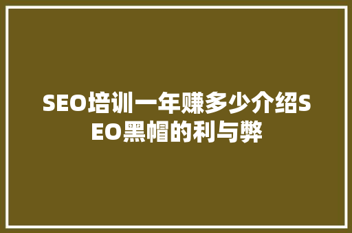 SEO培训一年赚多少介绍SEO黑帽的利与弊