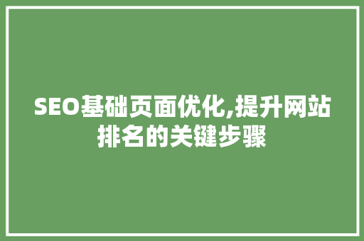 SEO基础页面优化,提升网站排名的关键步骤