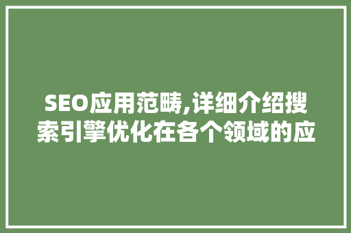 SEO应用范畴,详细介绍搜索引擎优化在各个领域的应用与价值