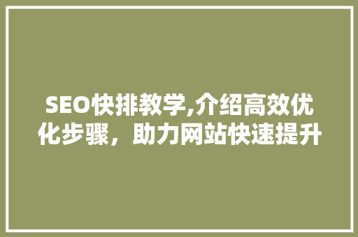 SEO快排教学,介绍高效优化步骤，助力网站快速提升排名