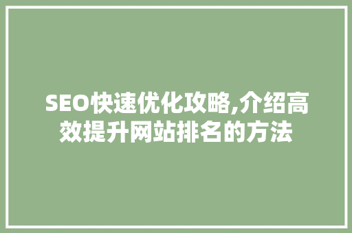 SEO快速优化攻略,介绍高效提升网站排名的方法