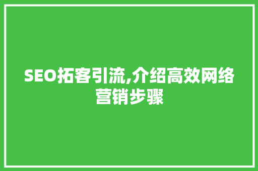 SEO拓客引流,介绍高效网络营销步骤