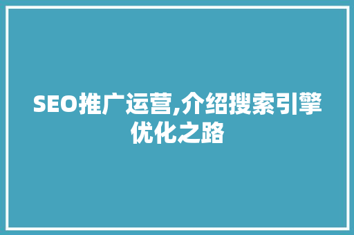 SEO推广运营,介绍搜索引擎优化之路