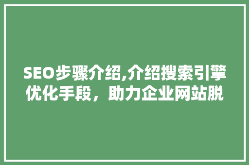 SEO步骤介绍,介绍搜索引擎优化手段，助力企业网站脱颖而出