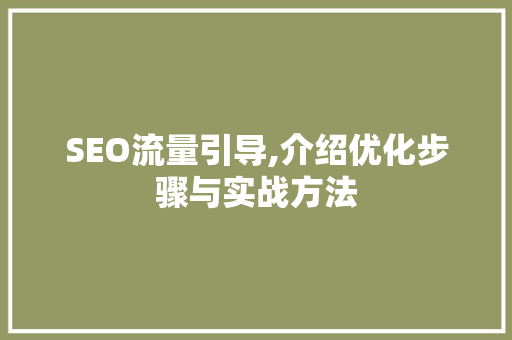 SEO流量引导,介绍优化步骤与实战方法