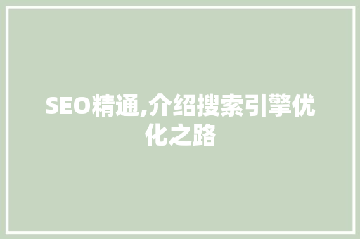 SEO精通,介绍搜索引擎优化之路