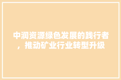 中润资源绿色发展的践行者，推动矿业行业转型升级