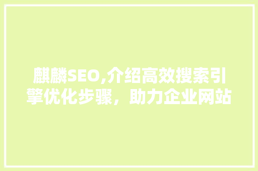 麒麟SEO,介绍高效搜索引擎优化步骤，助力企业网站脱颖而出