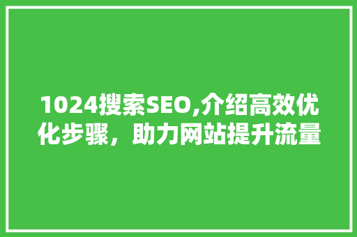 1024搜索SEO,介绍高效优化步骤，助力网站提升流量与排名