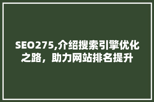 SEO275,介绍搜索引擎优化之路，助力网站排名提升  第1张