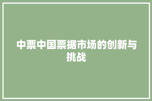 中票中国票据市场的创新与挑战
