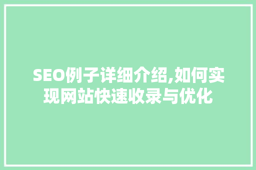 SEO例子详细介绍,如何实现网站快速收录与优化  第1张