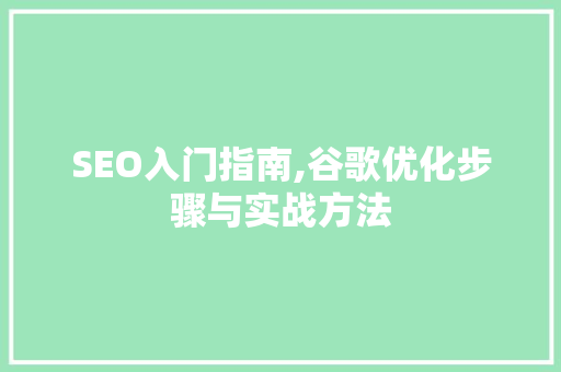 SEO入门指南,谷歌优化步骤与实战方法