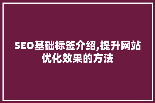 SEO基础标签介绍,提升网站优化效果的方法