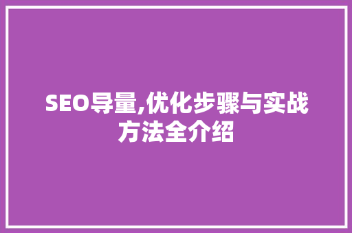 SEO导量,优化步骤与实战方法全介绍