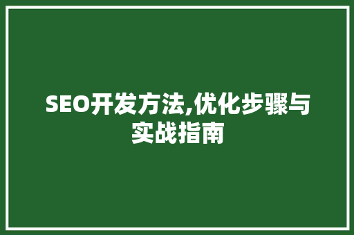 SEO开发方法,优化步骤与实战指南  第1张