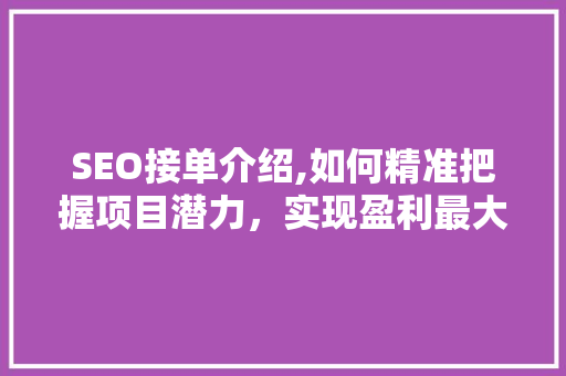 SEO接单介绍,如何精准把握项目潜力，实现盈利最大化