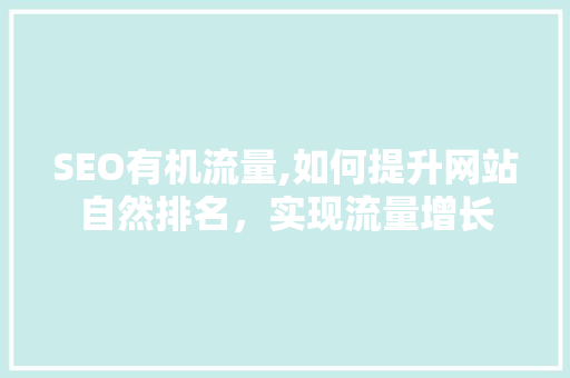 SEO有机流量,如何提升网站自然排名，实现流量增长  第1张