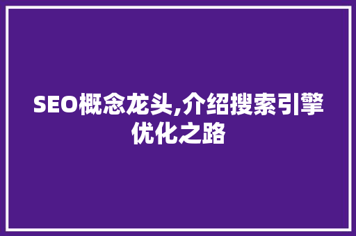 SEO概念龙头,介绍搜索引擎优化之路
