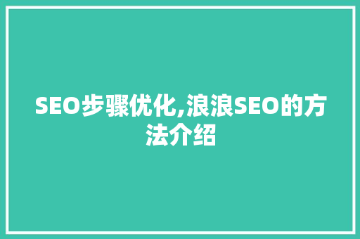 SEO步骤优化,浪浪SEO的方法介绍
