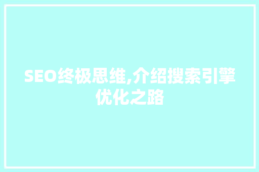 SEO终极思维,介绍搜索引擎优化之路