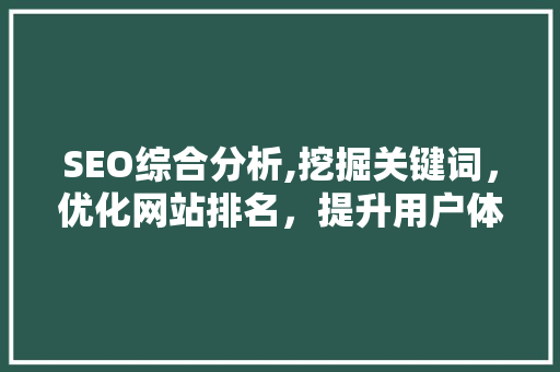 SEO综合分析,挖掘关键词，优化网站排名，提升用户体验