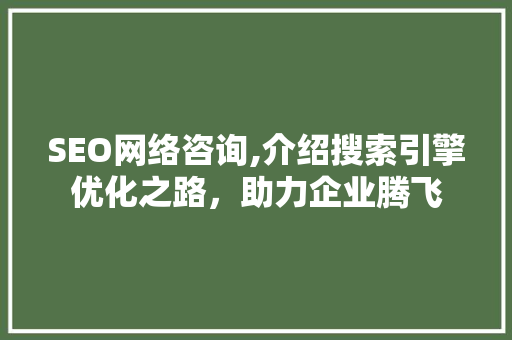 SEO网络咨询,介绍搜索引擎优化之路，助力企业腾飞