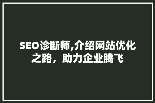 SEO诊断师,介绍网站优化之路，助力企业腾飞