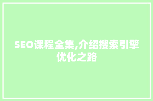 SEO课程全集,介绍搜索引擎优化之路