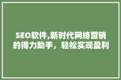 SEO软件,新时代网络营销的得力助手，轻松实现盈利之路