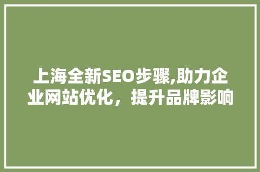 上海全新SEO步骤,助力企业网站优化，提升品牌影响力