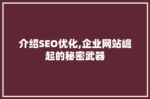 介绍SEO优化,企业网站崛起的秘密武器