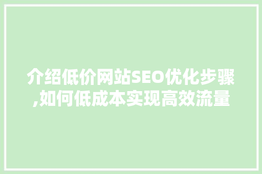 介绍低价网站SEO优化步骤,如何低成本实现高效流量转化