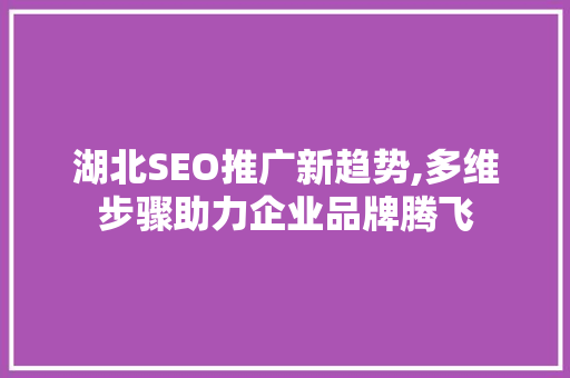 湖北SEO推广新趋势,多维步骤助力企业品牌腾飞