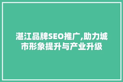 湛江品牌SEO推广,助力城市形象提升与产业升级