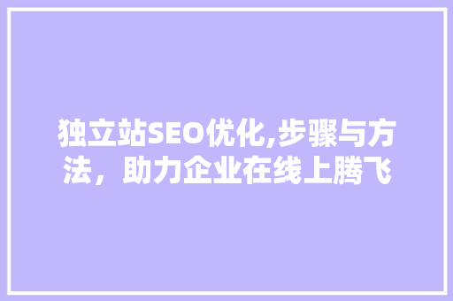 独立站SEO优化,步骤与方法，助力企业在线上腾飞