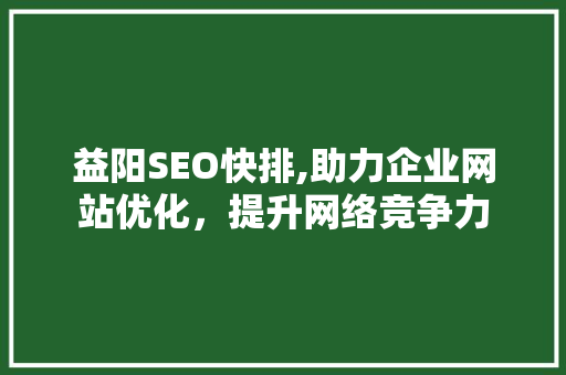 益阳SEO快排,助力企业网站优化，提升网络竞争力