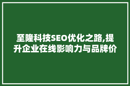至隆科技SEO优化之路,提升企业在线影响力与品牌价值