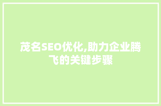茂名SEO优化,助力企业腾飞的关键步骤