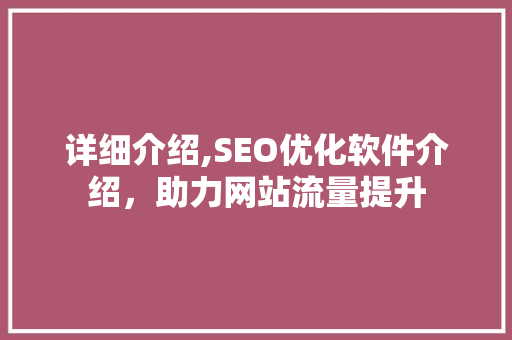 详细介绍,SEO优化软件介绍，助力网站流量提升