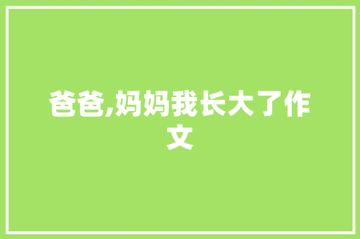 谷歌SEO优化步骤,让网站在搜索引擎中脱颖而出