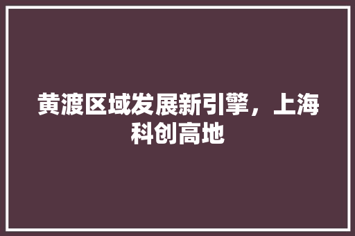 黄渡区域发展新引擎，上海科创高地