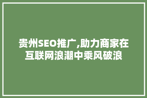 贵州SEO推广,助力商家在互联网浪潮中乘风破浪
