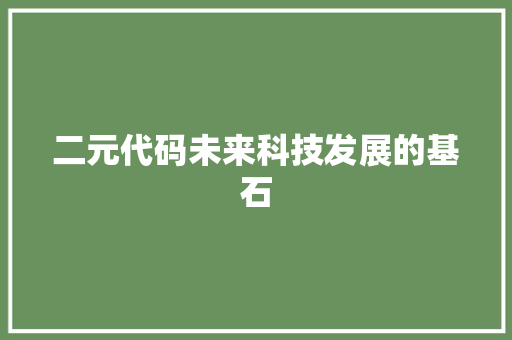 二元代码未来科技发展的基石