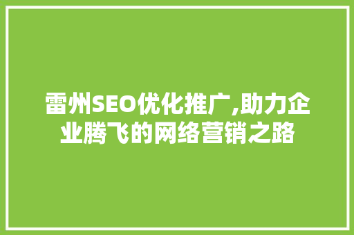 雷州SEO优化推广,助力企业腾飞的网络营销之路