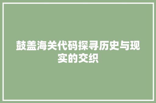 鼓盖海关代码探寻历史与现实的交织