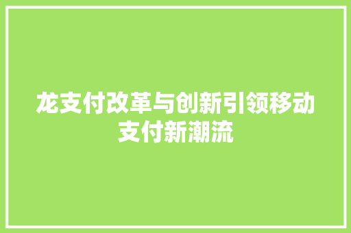 龙支付改革与创新引领移动支付新潮流