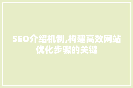 SEO介绍机制,构建高效网站优化步骤的关键
