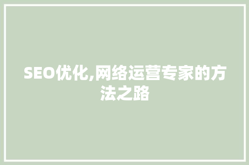 SEO优化,网络运营专家的方法之路